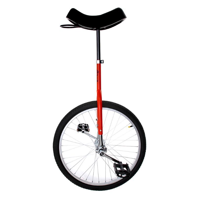 Monociclo Rodado 24